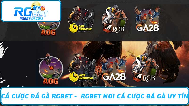 Cá Cược Đá Gà RGBET - RGBET Nơi Cá Cược Đá Gà Uy Tín